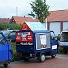 Biene (115)