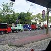 Biene (67)