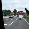 Biene (69)