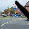 Biene (71)