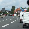 Biene (72)