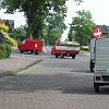 Biene (82)